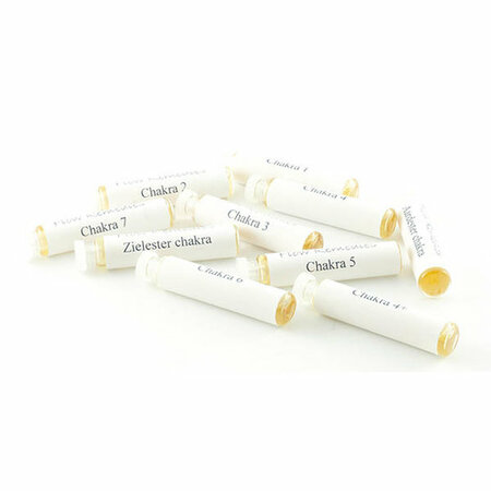 Testset chakra serie, LOSSE FLESJES